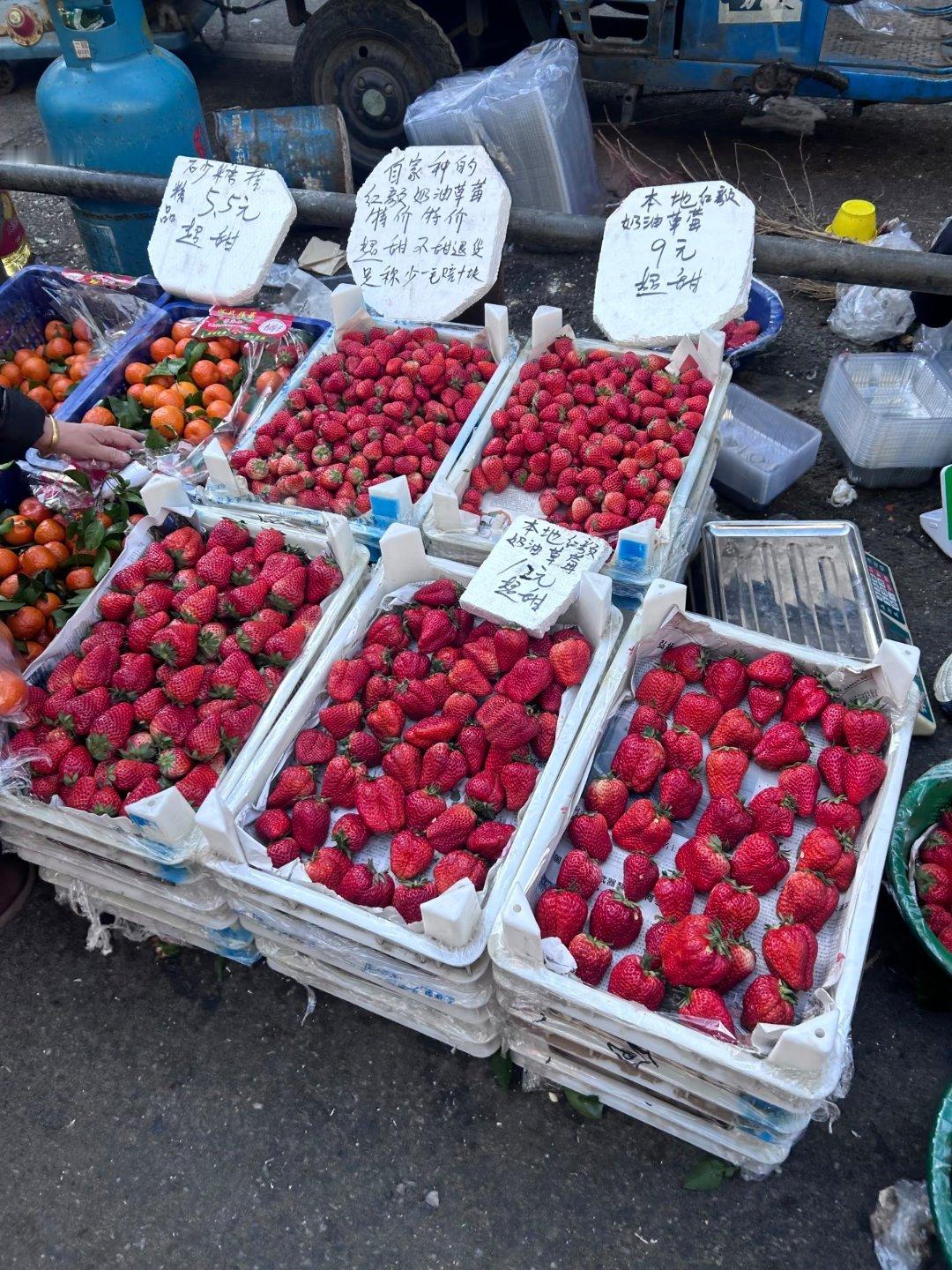 草莓价格跌至1元一斤我问水果店老板有没有1元一斤的草莓，他打量了一下我，说你晚