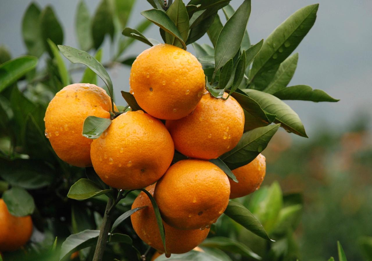 亲戚之间走动，最尴尬的是，有时候会出现“周转礼品”。有次我去旅游，带了点当地的土