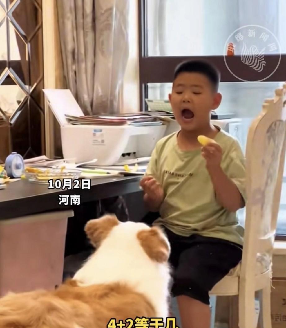 孩子妈妈无意间偷拍儿子写作业作弊的一幕。孩子写作业时，问家里的狗狗：“4+2