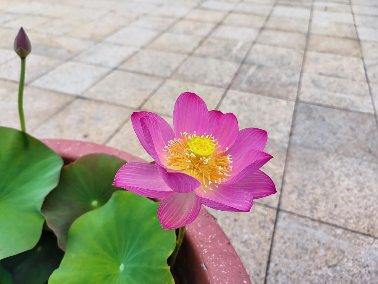 快毕业了，学生越来越难管。某学校的一位毕业班老师被学生气晕了，以激将法对学生
