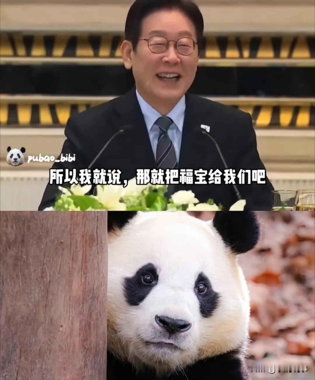 李在明这趟来，正事没怎么提，开口先问能不能再给一对熊猫。而且点名不要放首尔，想