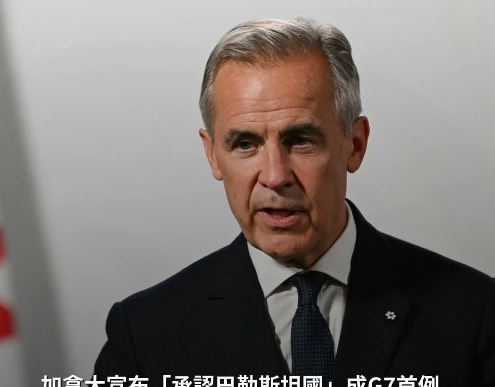 加沙勇士和人民的血没有白流！英法加澳葡等多国承认巴勒斯坦国！以色列对巴勒斯坦的