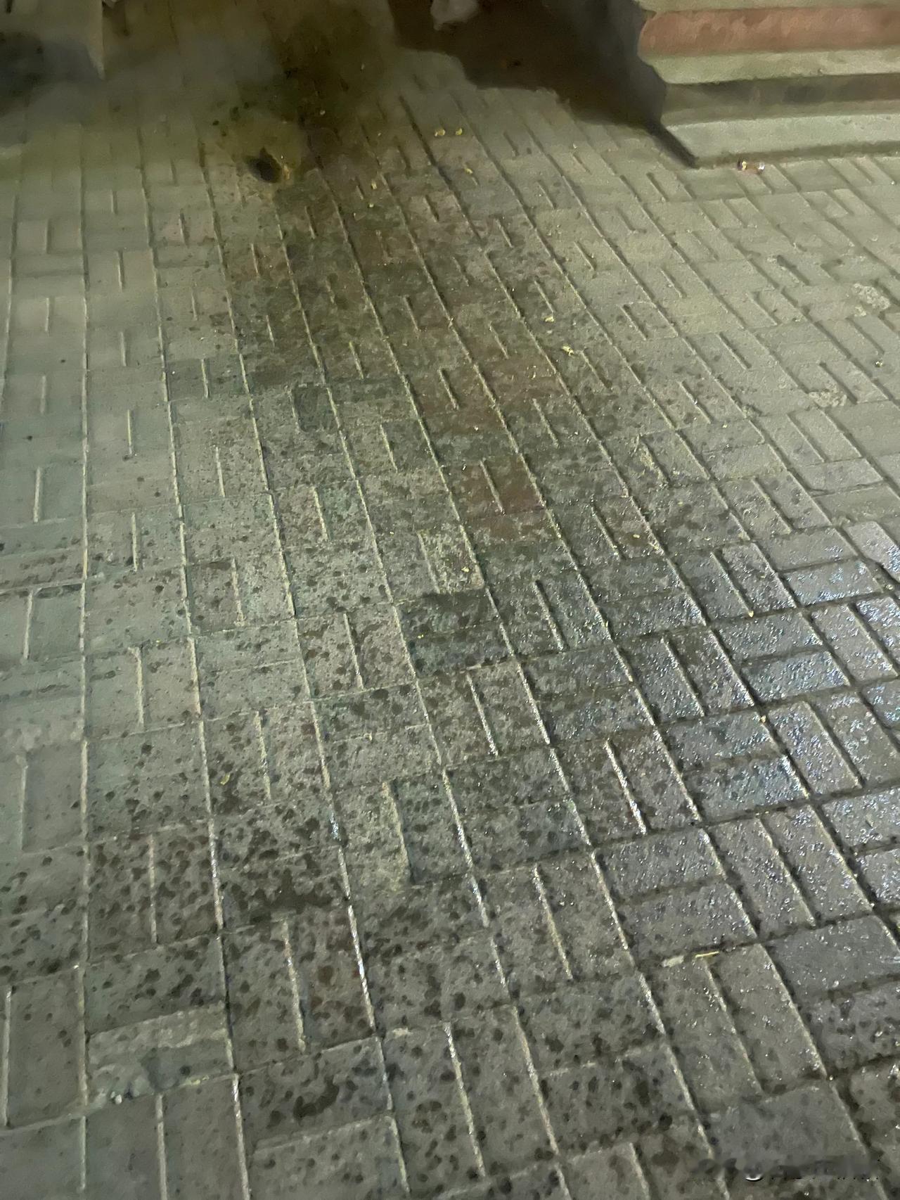 ＃石家庄生活＃【高空坠物到底如何处理？】网友家住裕华区南和苑小区保障房，回家被一