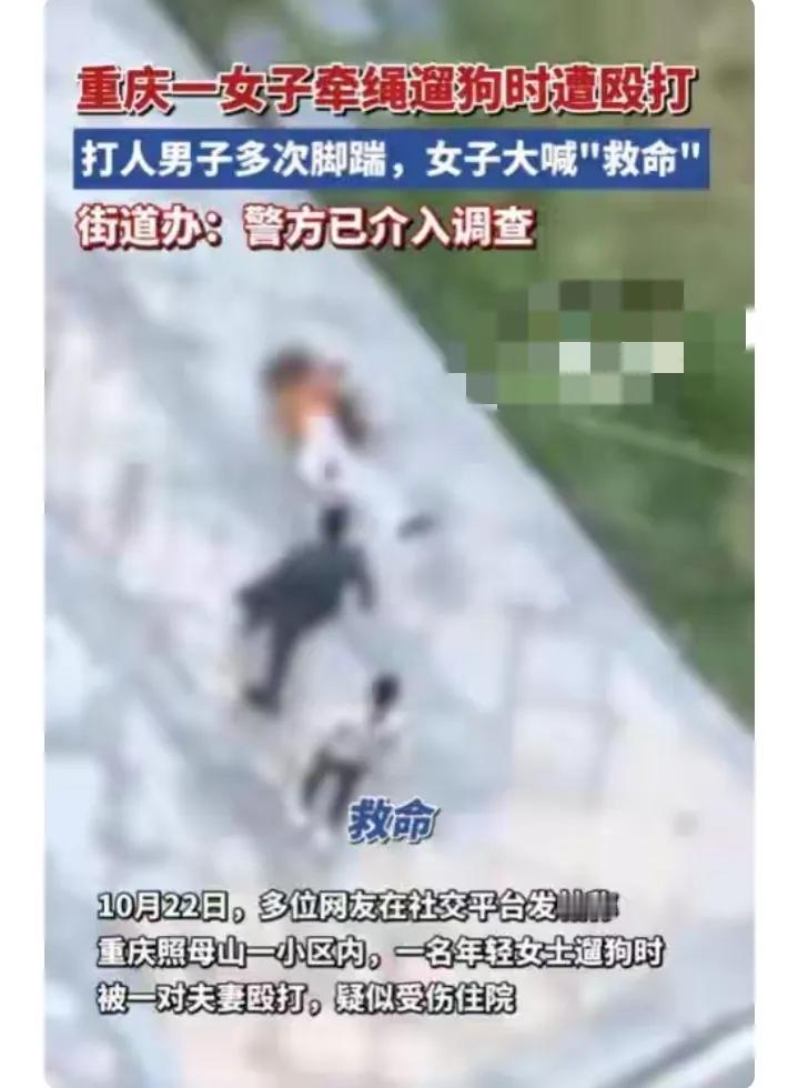 狗绳长点就动手打人?重庆这男的嚣张劲儿,崩得也太快了!一开始多横啊,光天化