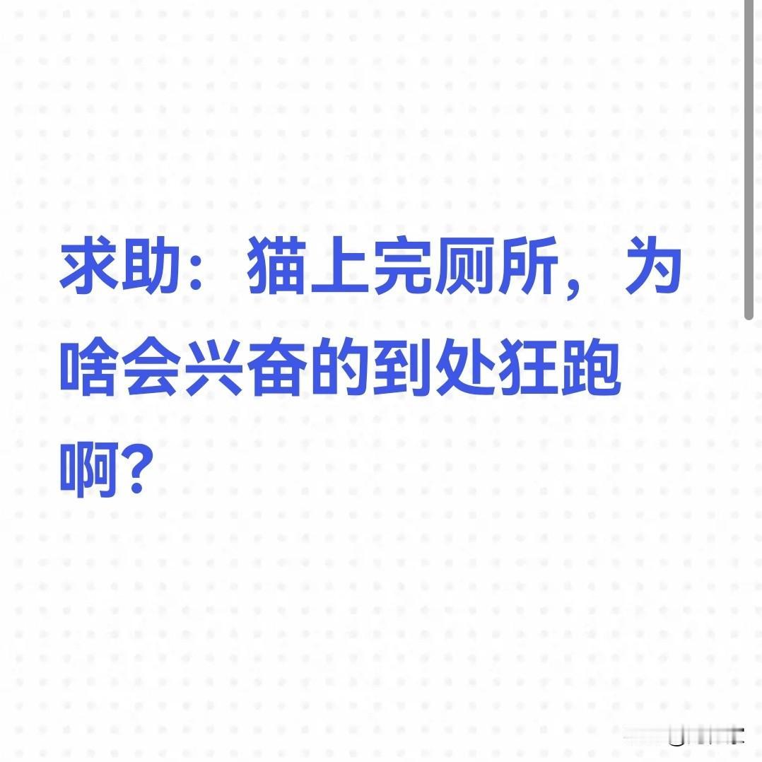 最近有个朋友一直抱怨，她家猫有个坏习惯，就是上完厕所后会开启狂跑模式，看起来非常