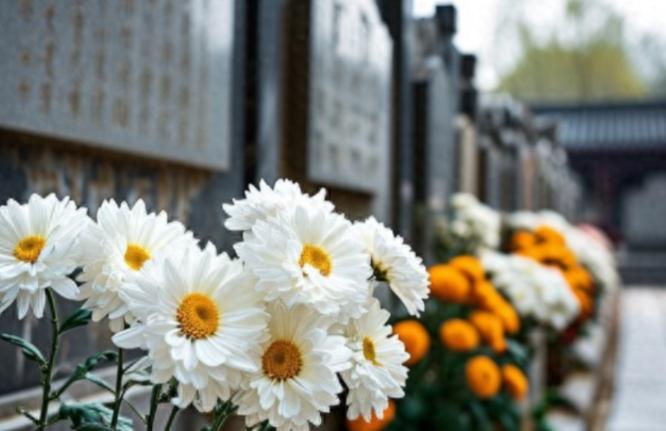 新的殡葬制度将于2026年3月30号执行，大概意思就是：一切从简，城