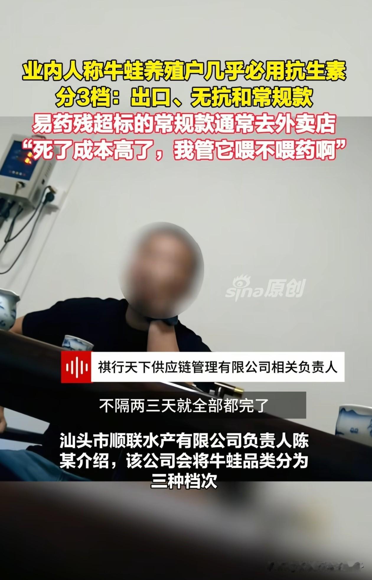 一觉醒来，爱吃牛蛙的人天塌了！福建漳州，据水产公司负责人透露，养殖牛蛙抗生素