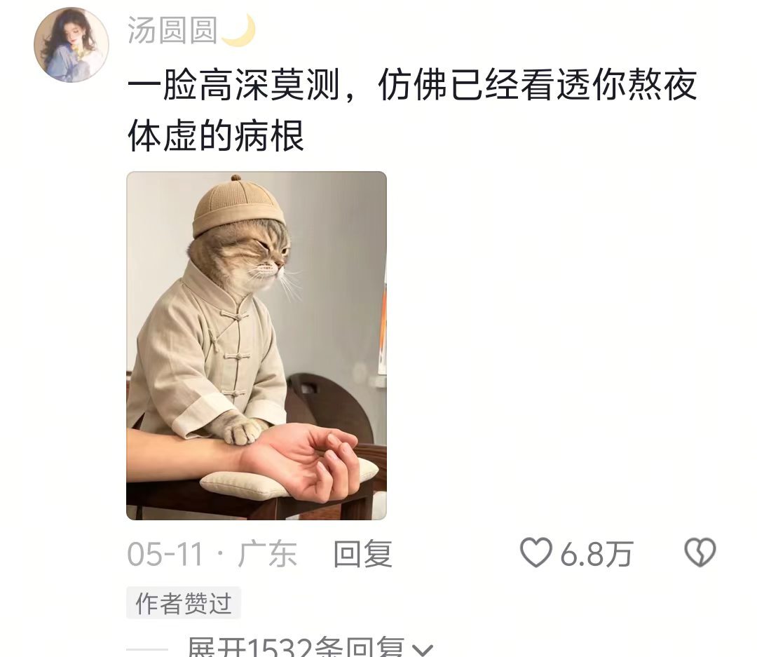 猫界老中医