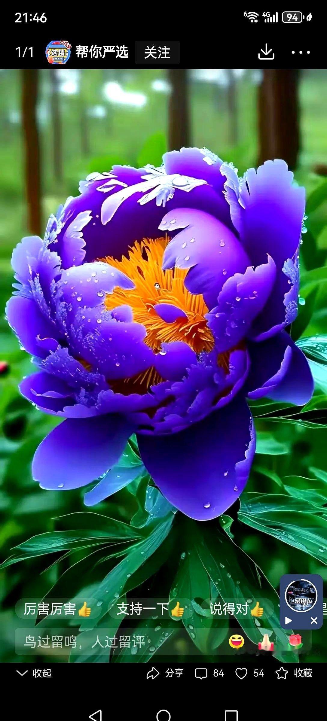 给别人养儿子这事儿，说白了，就是签一份注定不平等的卖身契。尤其是我儿子这种，3