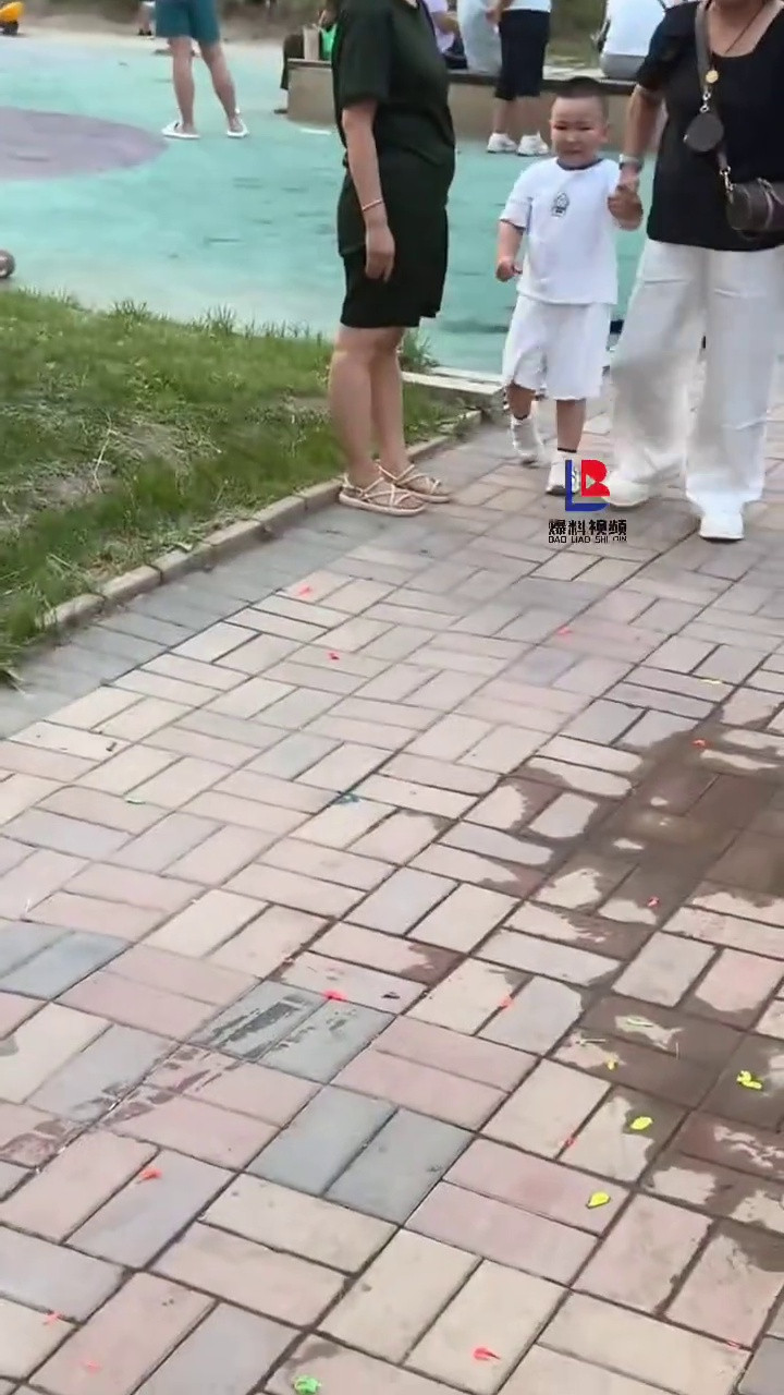 小区未牵绳狗吓到孩子被妈妈一脚踢飞，狗主人怒骂孩妈：有病！
