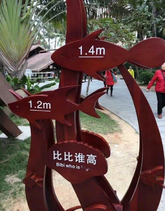 我做四六级翻译belike：​​​