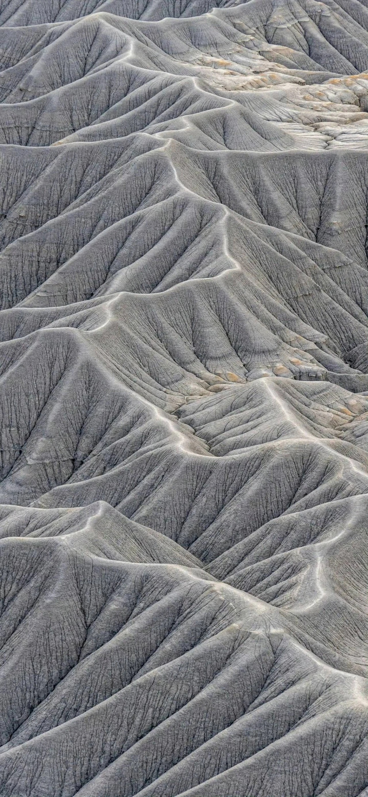 “合群是为了自保，孤独是真正的自由。”