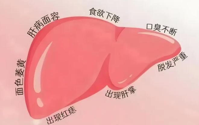抓住夏季养肝黄金期，常食2碗“粥”！肝火灭了、眼睛亮了、睡眠香了！中医上讲“