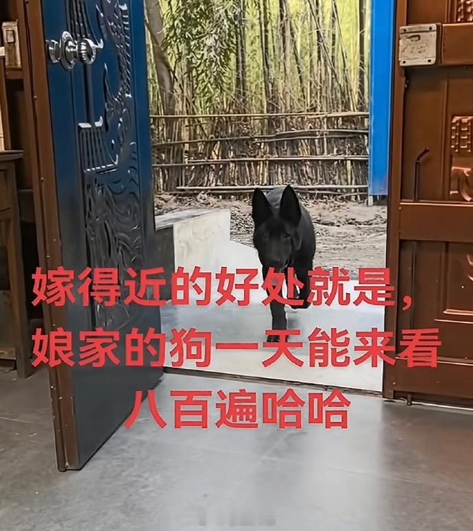 娘家来人了，赶紧上菜啊！​​​
