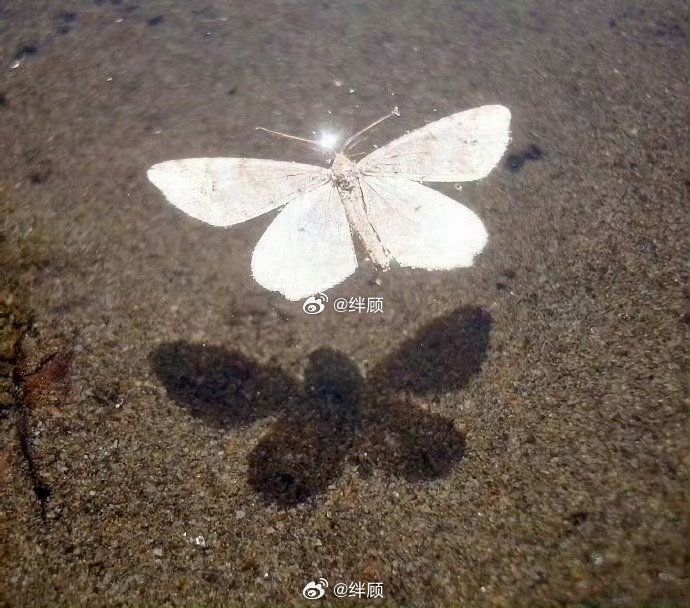明日，大吉，困扰已久的事定会迎刃而解。​​​