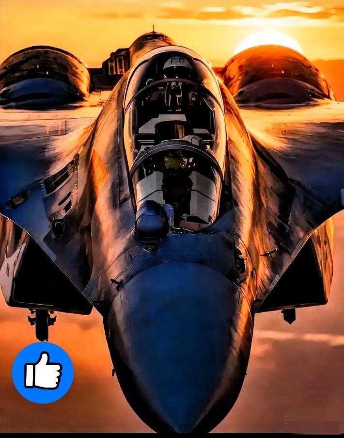 这帮外机是真够阴损的，大过年的非要来找晦气！前两天南海那边还是出事了，两架歼