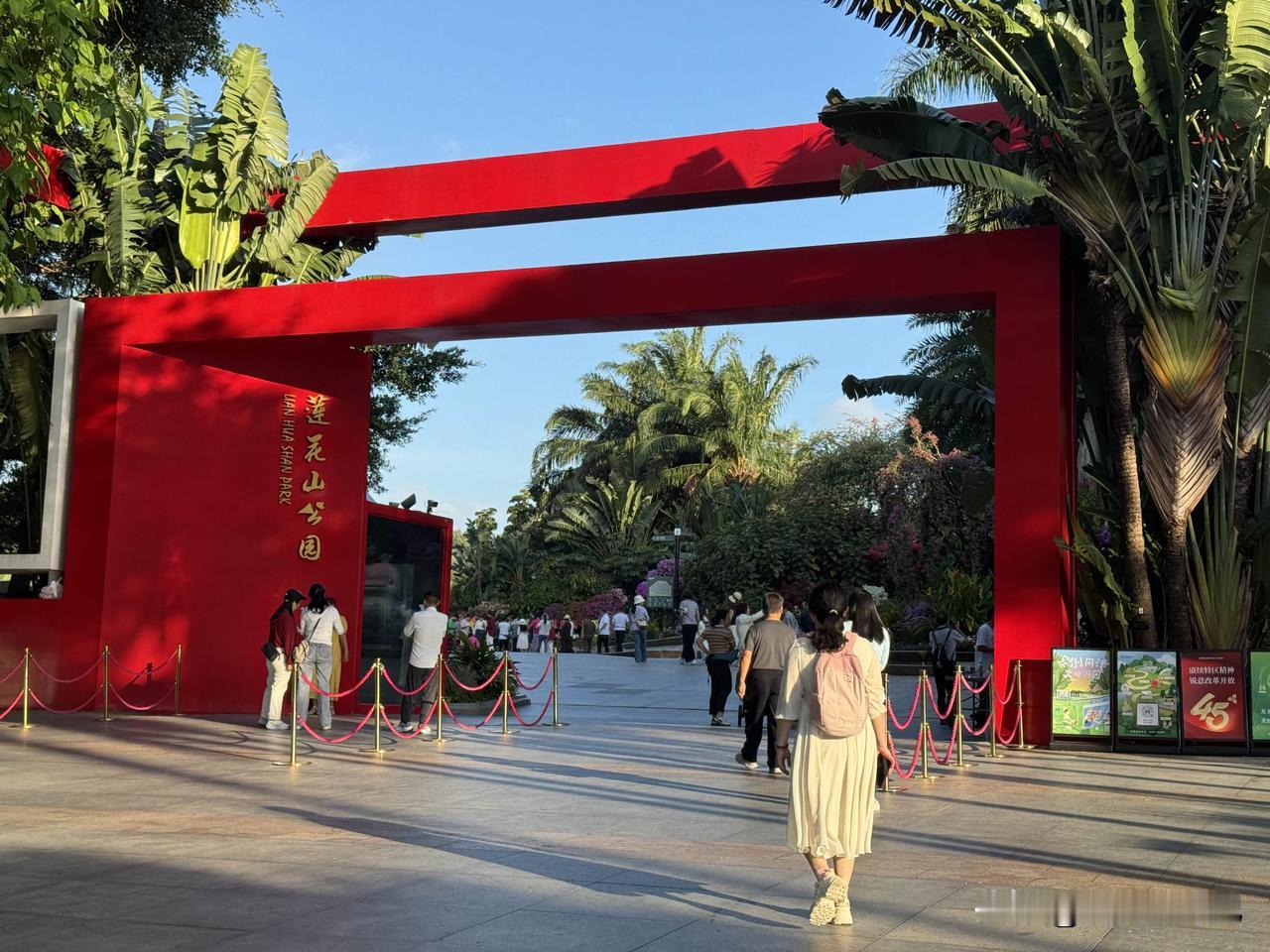 2025，深圳莲花山公园，簕杜鹃展开始啦，今年的杜鹃花颜色有很多种，还有一支多色