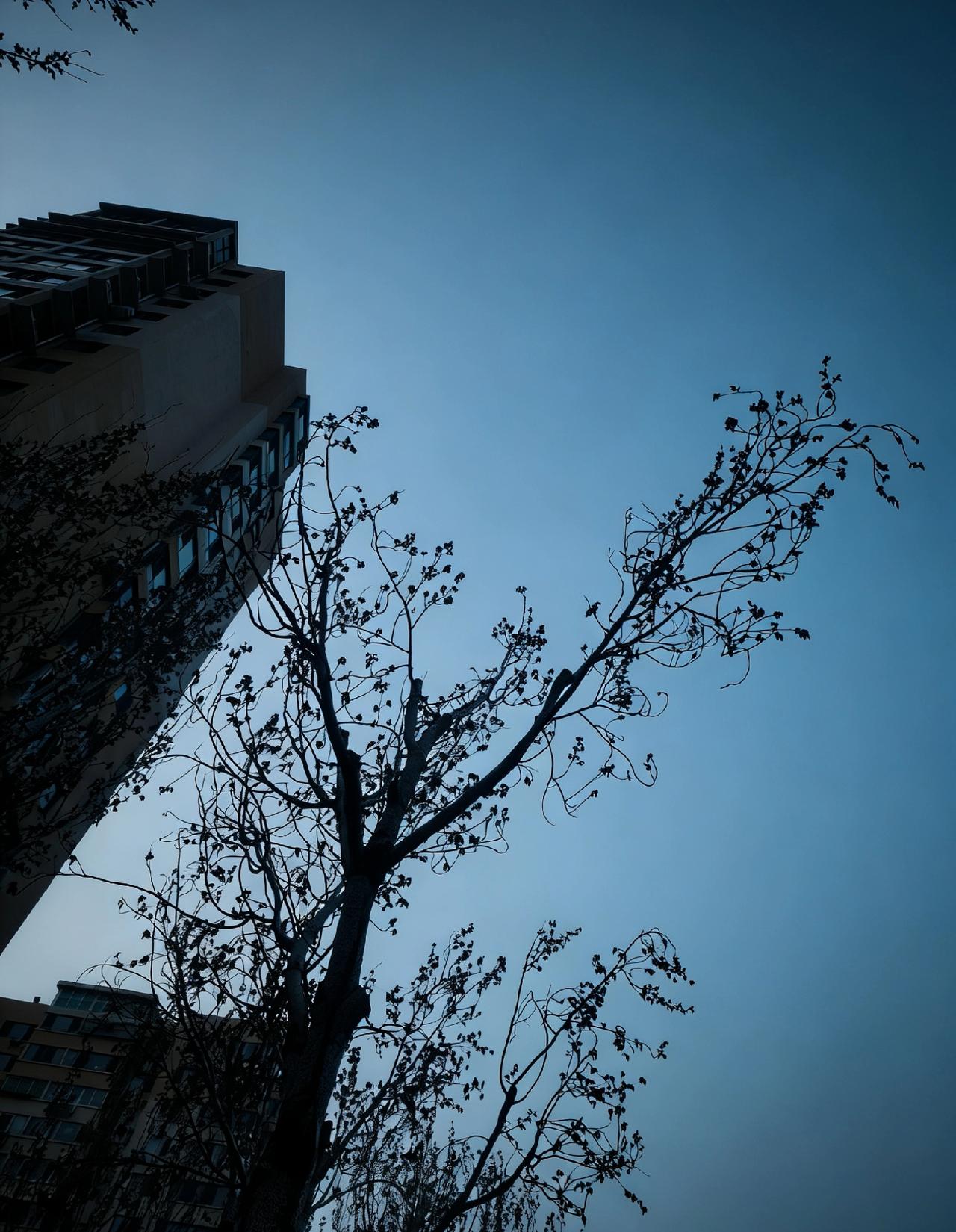 我楼下住着一对最隔应人的老夫妻，整栋楼人都讨厌他们。先说那个老头儿。他们家住四