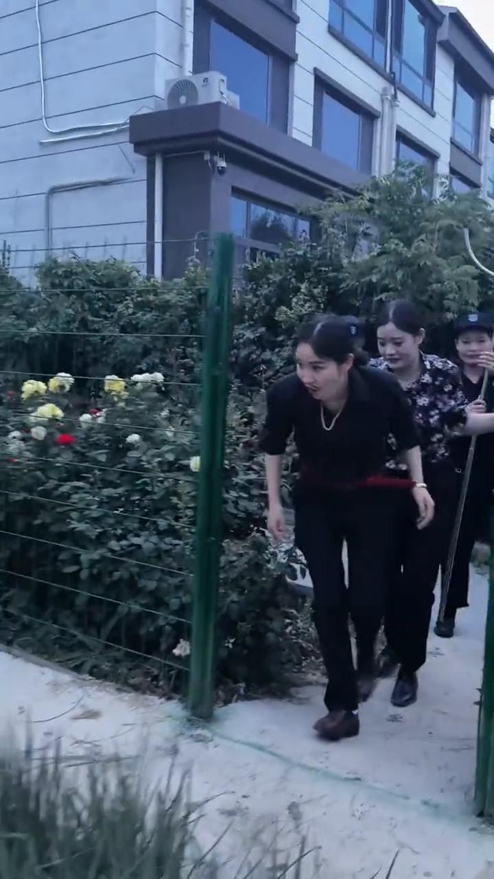 哈哈。