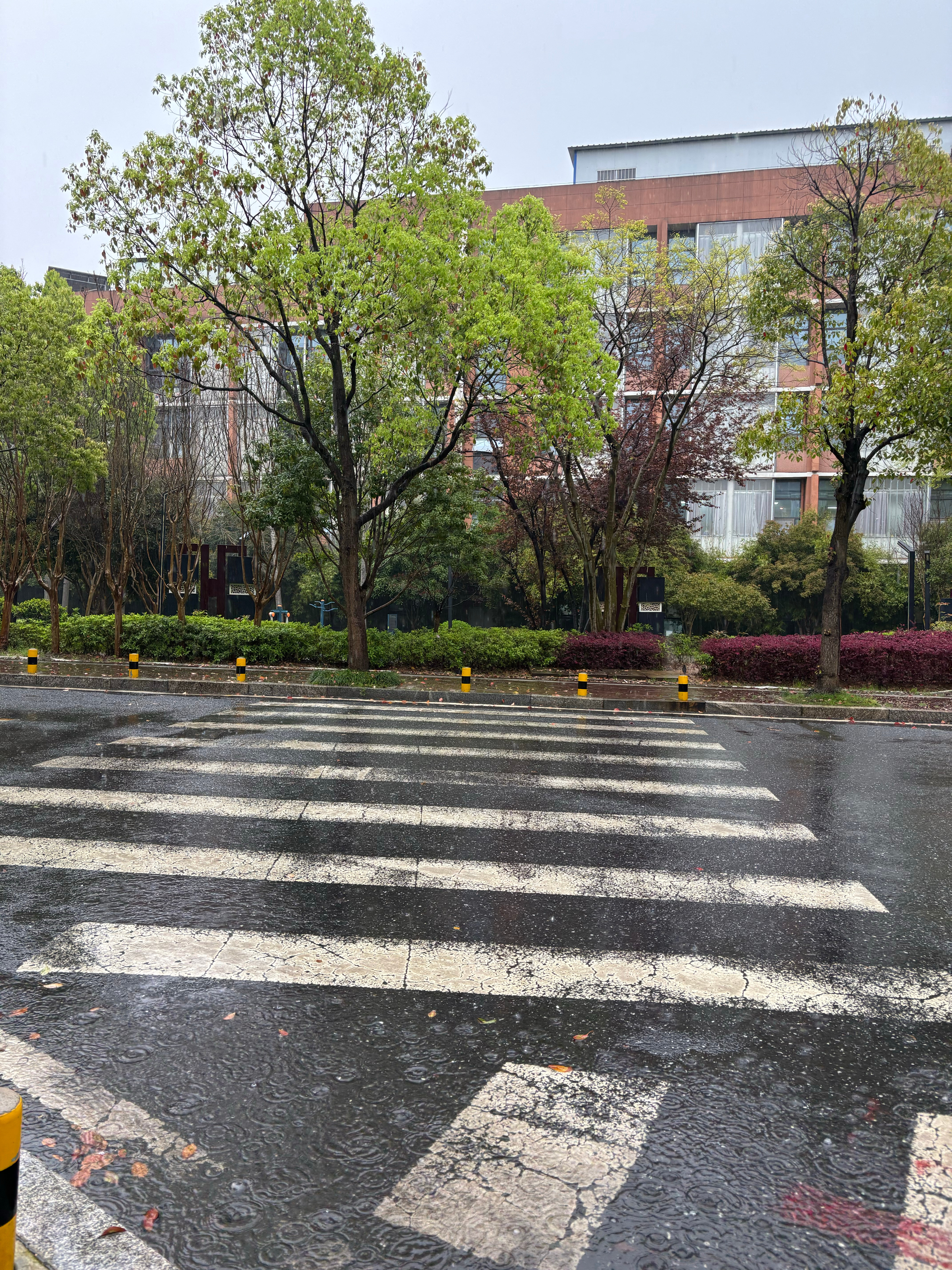 好的湖南的雨续上了…一个月给你一天太阳乐呵一下你