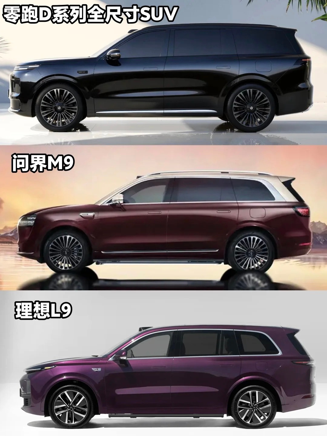 这简直就是摸着理想过河[doge][doge][doge]零跑全新D系列全尺寸S