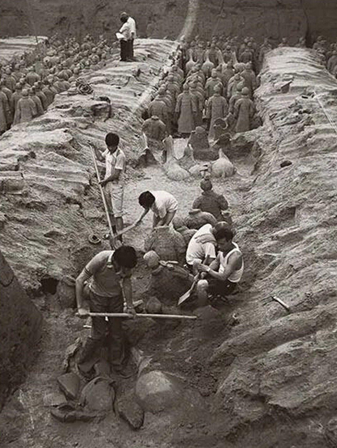 历史知识没想到栩栩如生的兵马俑是这样被发掘的！1974年3月29日，陕西临潼县西