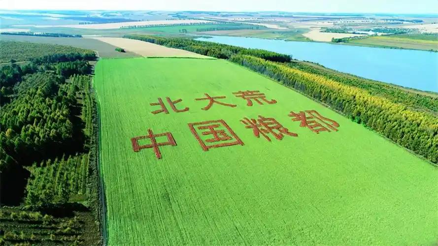 `几百亿斤的粮食说不要就不要了？数万名官兵和农民辛苦开垦了半个世纪，能养活一亿人
