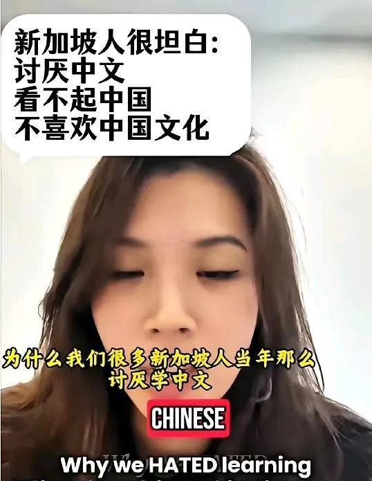 新加坡人直言为什么不喜欢中国文化，也不喜欢学汉语？自从新加坡把英语作为官方语言