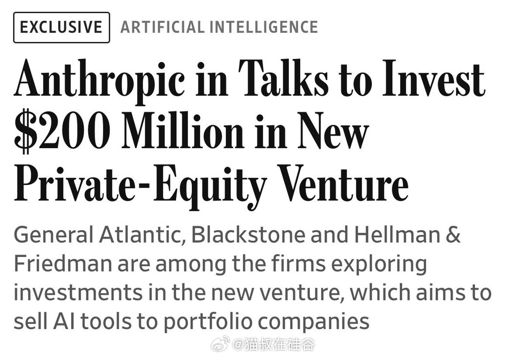 Anthropic正在与多家顶级私募股权巨头谈判，成立一个类似Palanti