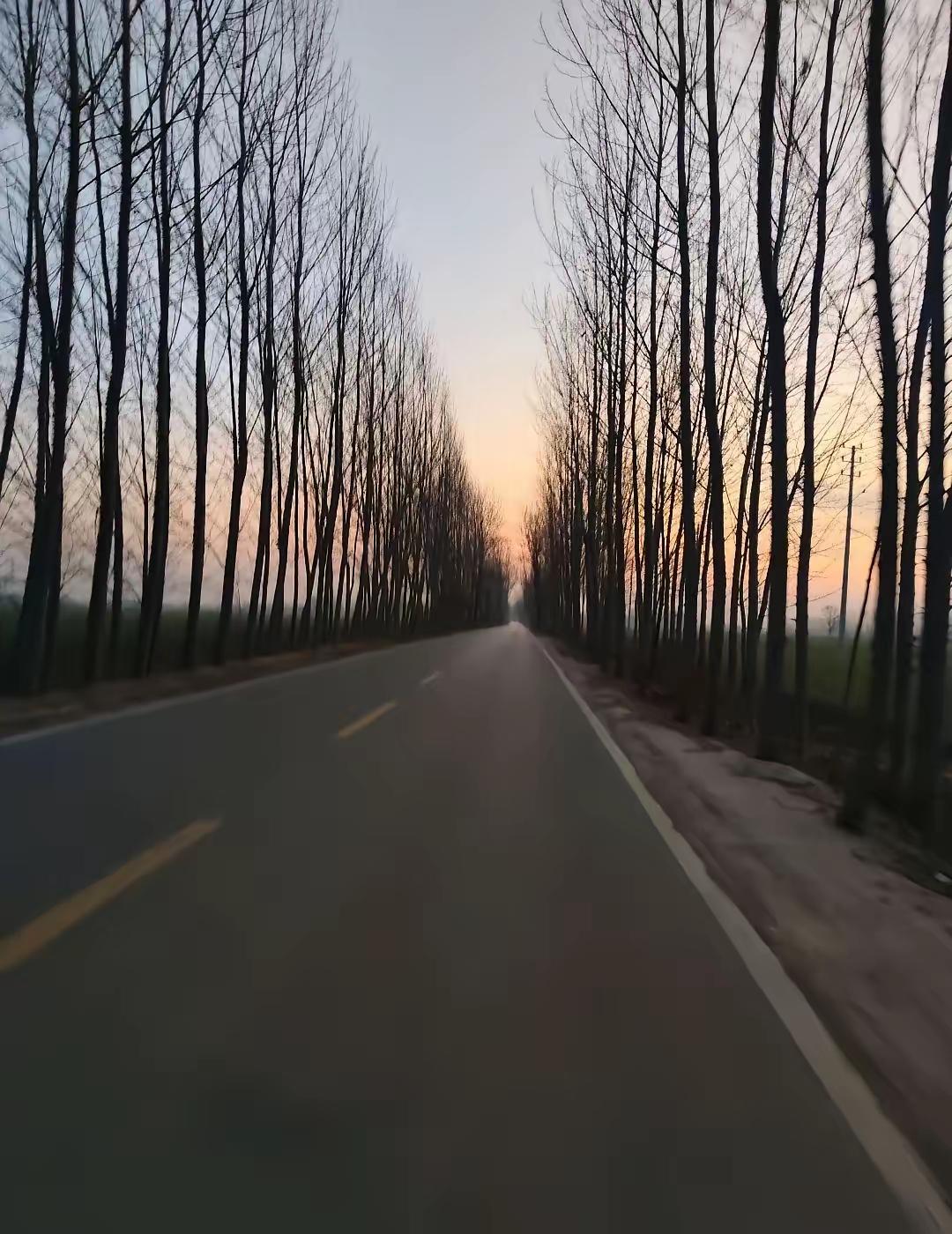嫂子嫌我哥没出息，天天吵。我哥突然提离婚，嫂子冷笑：离就离！办完她立马嫁了个有钱