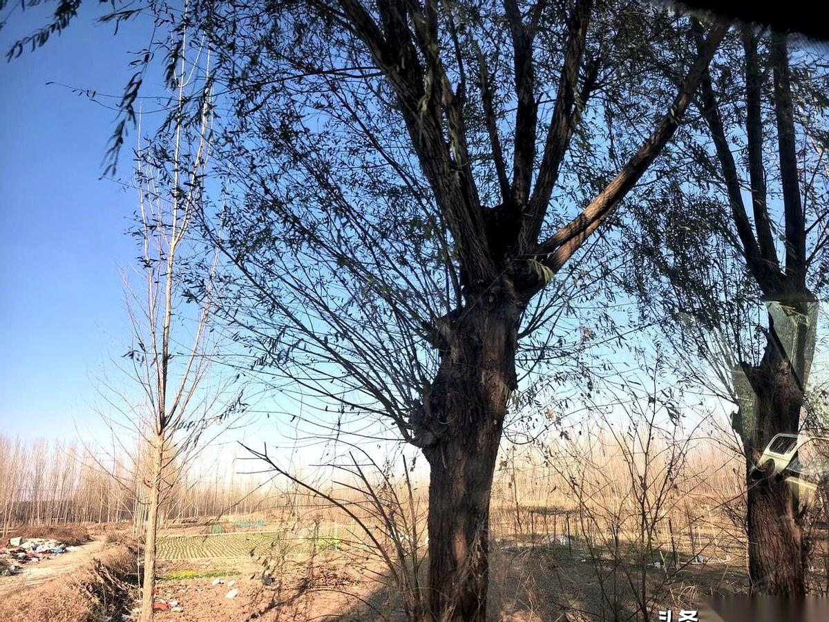 我老公那朋友，前几年还风光无限、身家几千万的大老板，破产了。就一夜之间，还倒欠