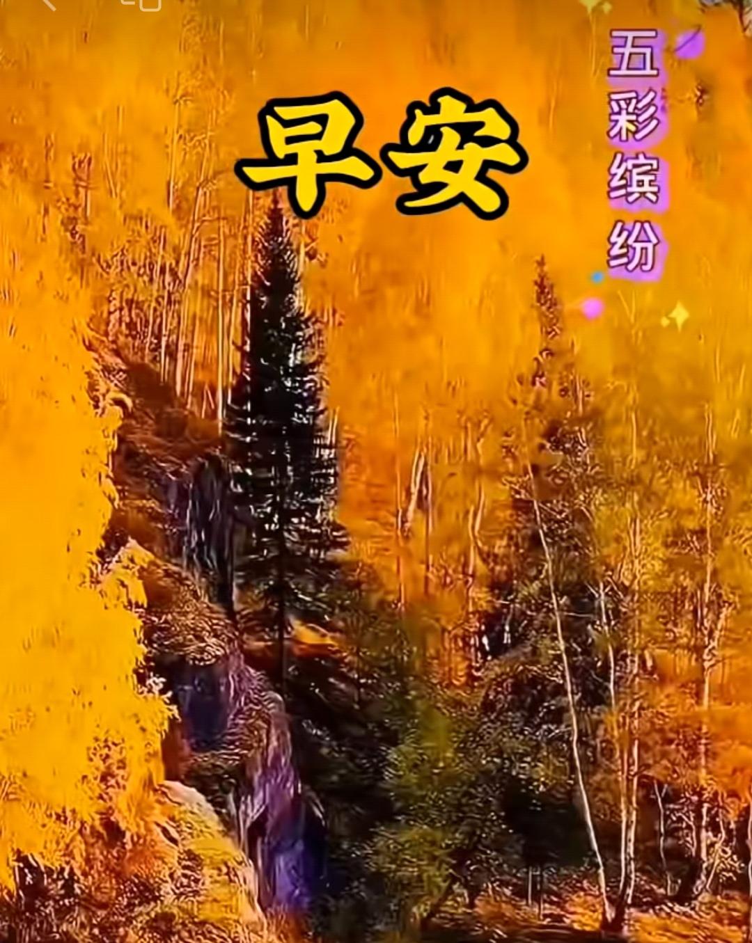 美麗而冰冷的早晨，送去了溫馨的祝福：開心快樂幸福安康，浪漫依舊吉祥永久。