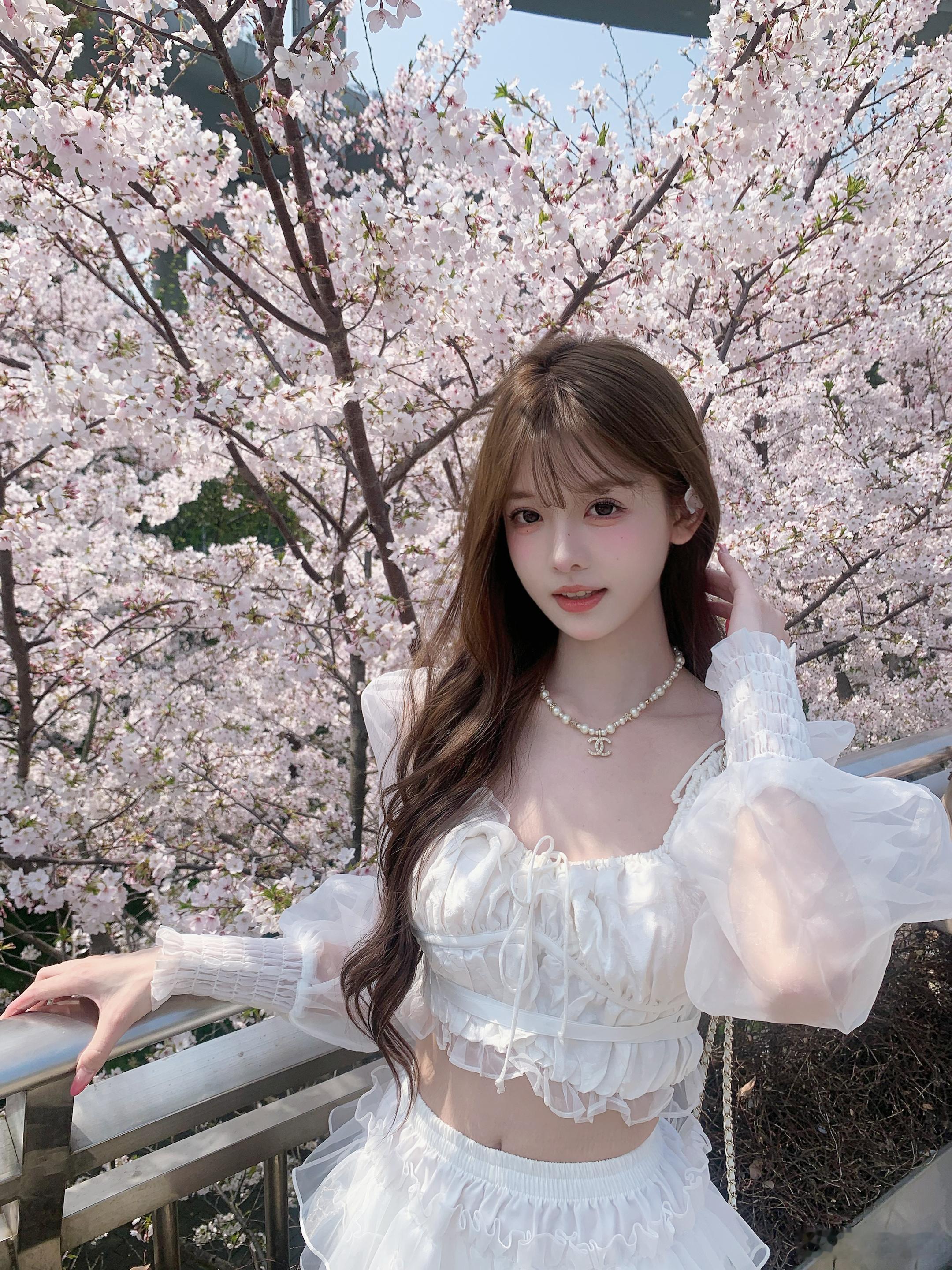 🌸𝓢𝓪𝓴𝓾𝓻𝓪樱花树下站谁都美～4月2号在汶水路地铁站拍的📷今