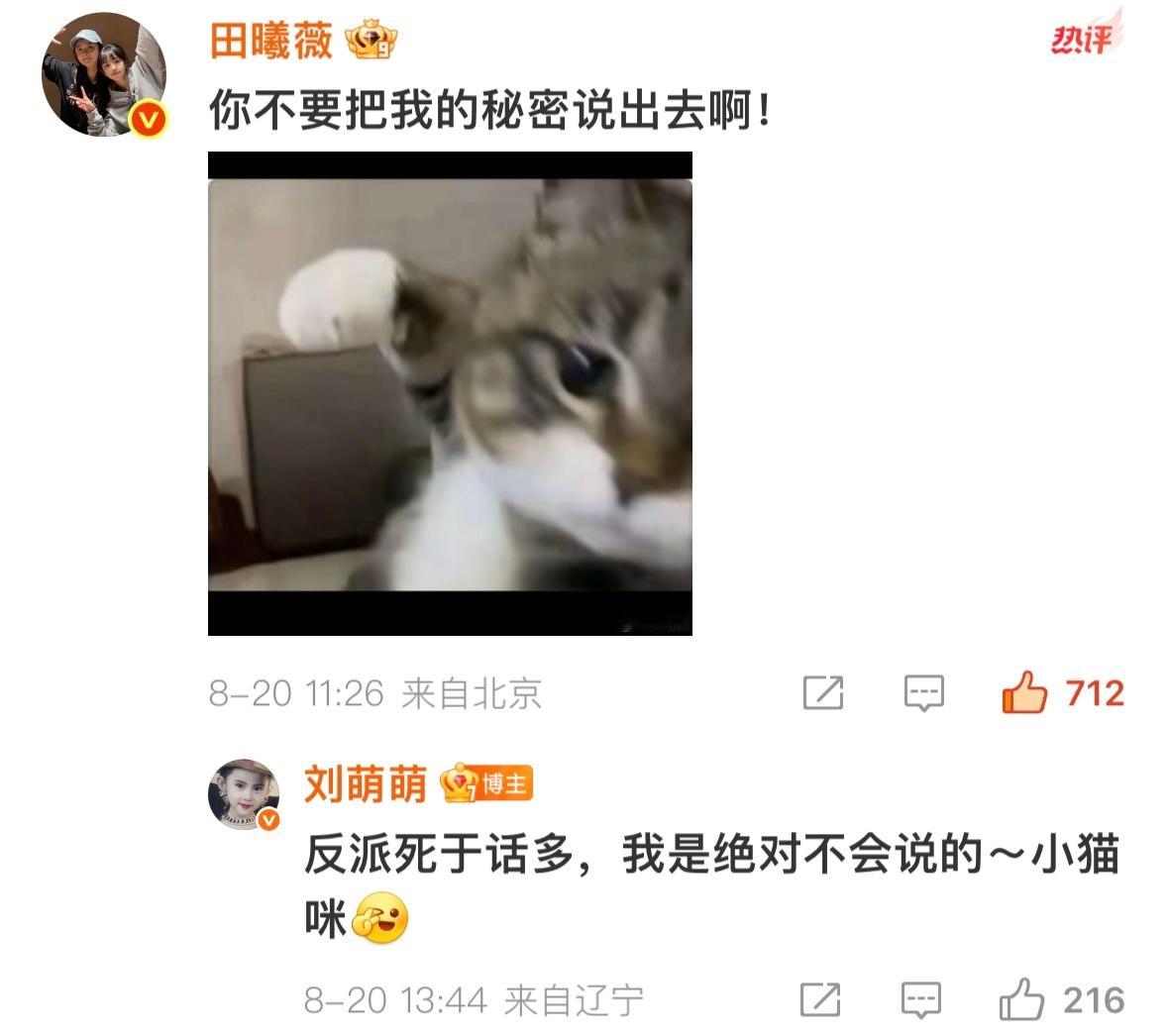 我们小猫咪就是这么可爱✊🥹​​​