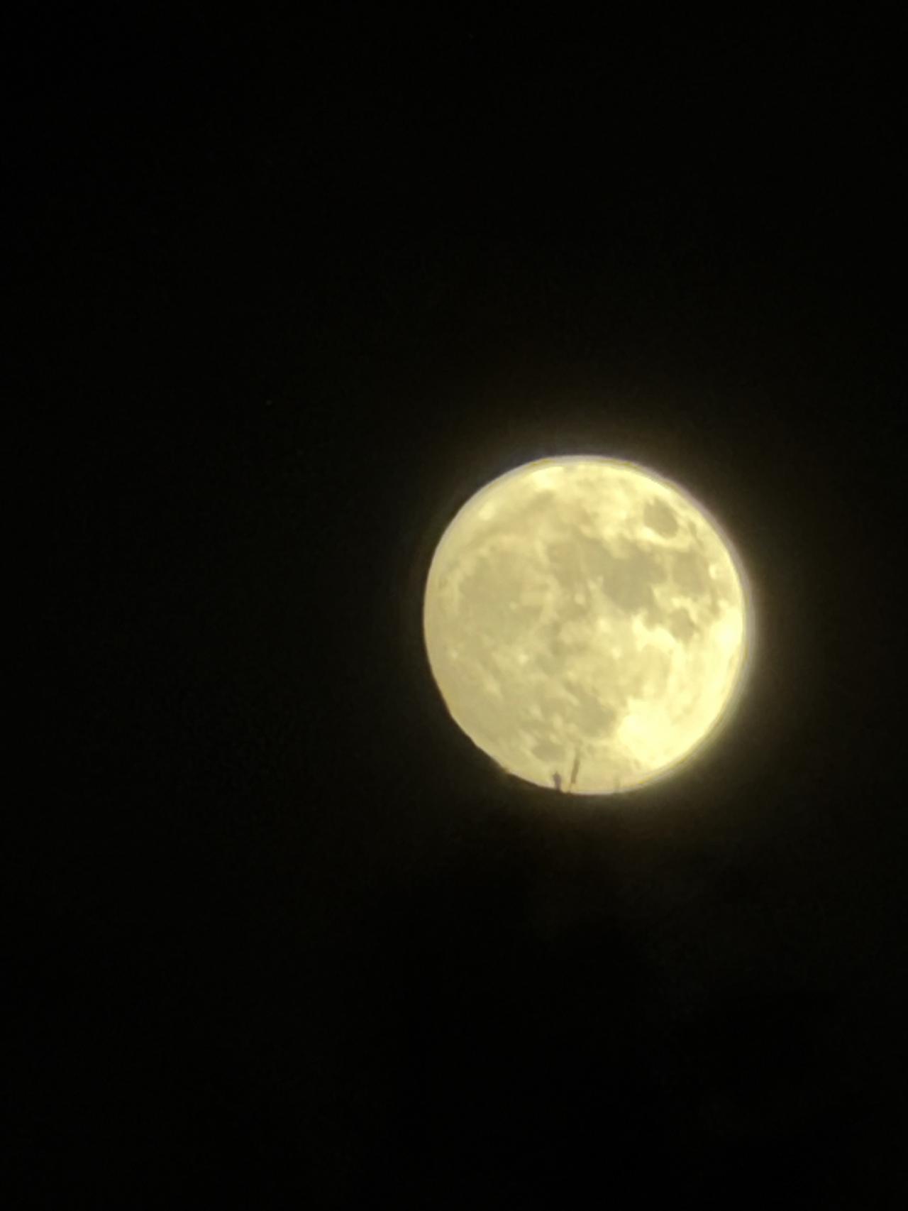 月色如银，静谧夜空，美不胜收！🌙✨月色如墨夜空图片人间夜色美景夜赏月亮