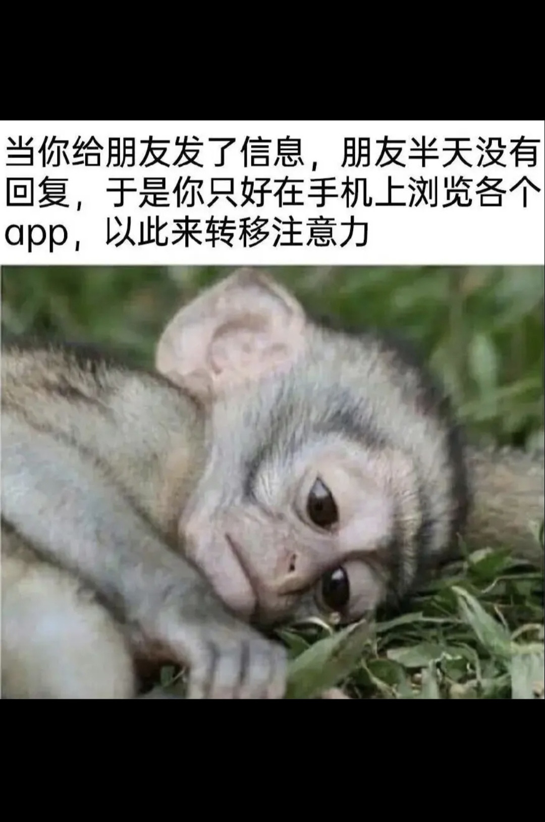 转移注意力