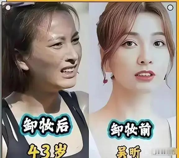 素颜的董卿很美。素颜的周涛很美。素颜的李红很美。素颜的王小丫很美。素颜的