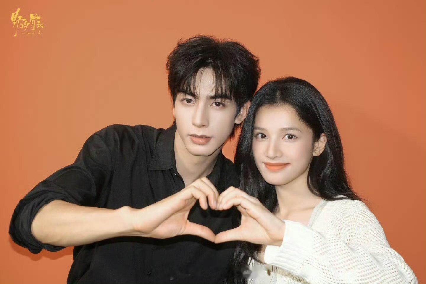 双轨野狗骨头或将对打网传双轨野狗骨头同期播出哇哦!期待期待同题材对打