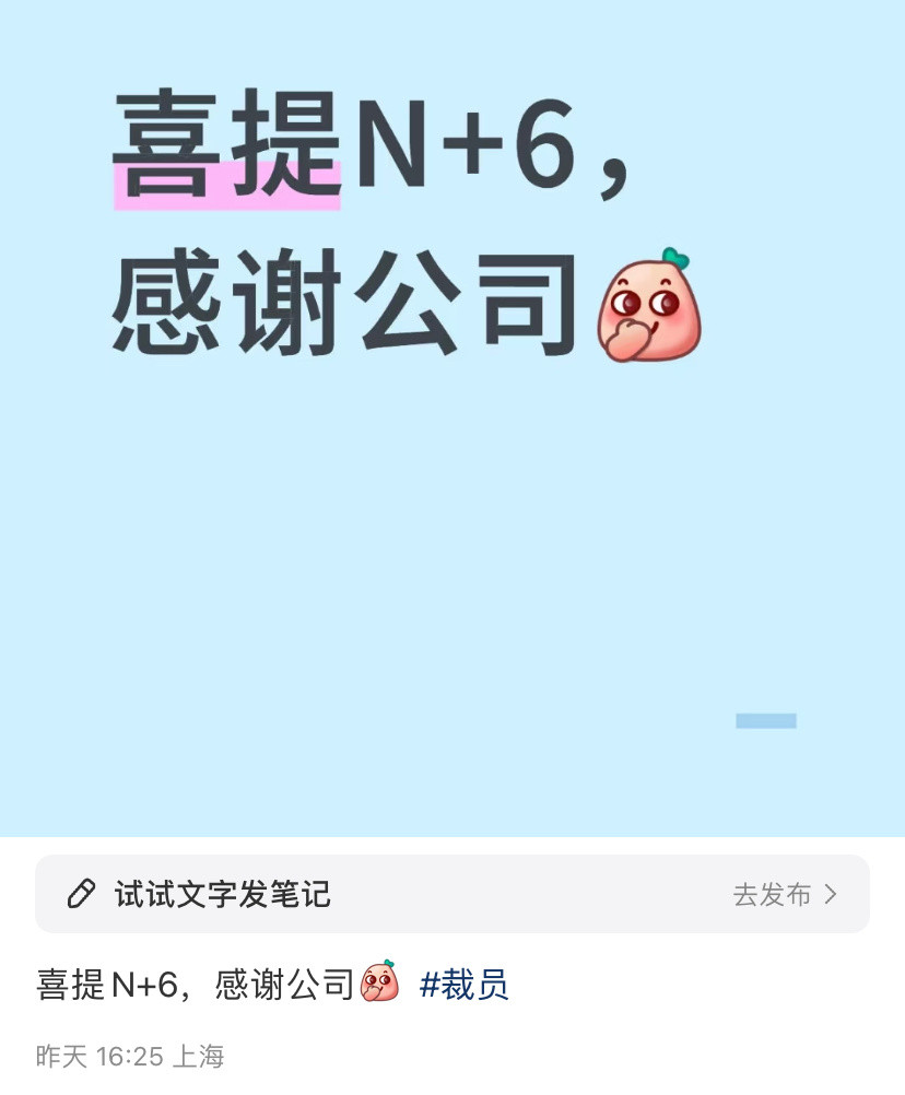 分手见人品，有些公司给N都算大方了，N+6可不是一笔小钱。公司应该不缺钱，裁员可