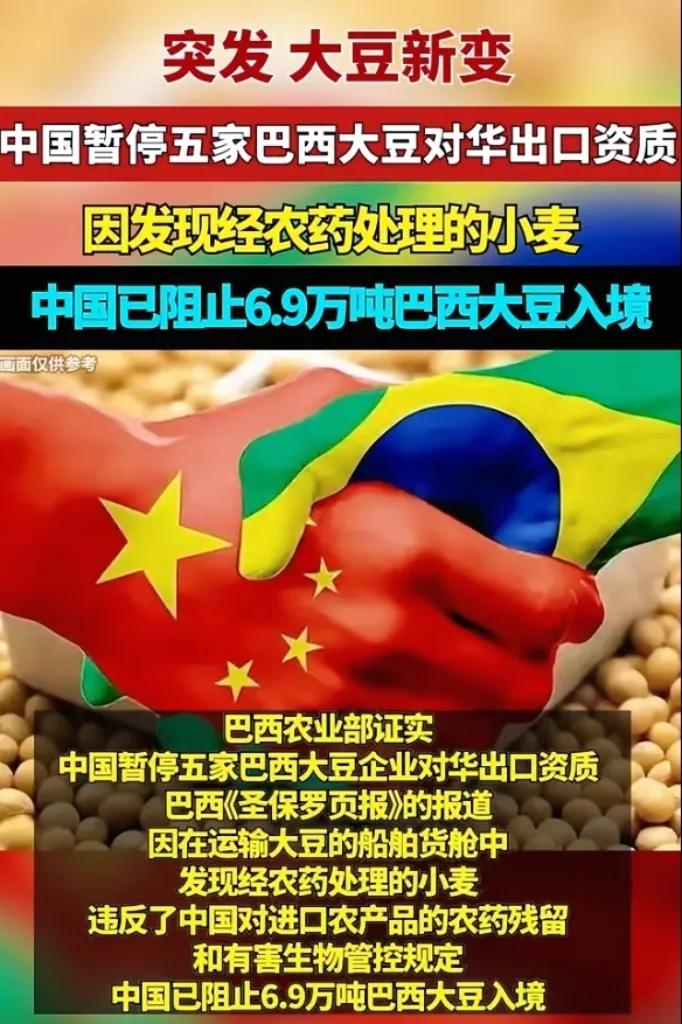 好家伙，6.9万吨大豆直接被按住了！这回解释不清了！这巴西的
