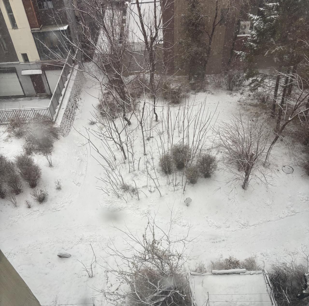 辽宁的雪也正式开始下了！过了冬至，才是真正寒冷的开端，雪才正式飘落。此前的那几