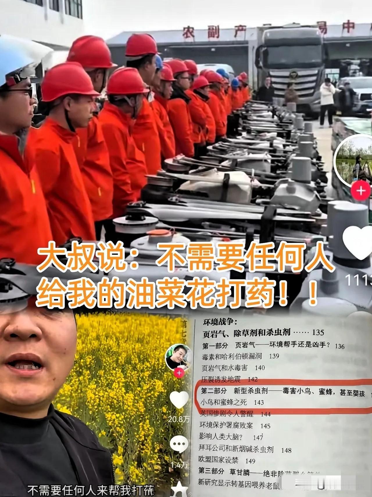 说实话，看完这新闻我第一反应不是生气，而是觉得荒诞。油菜花开得正旺，漫山遍野