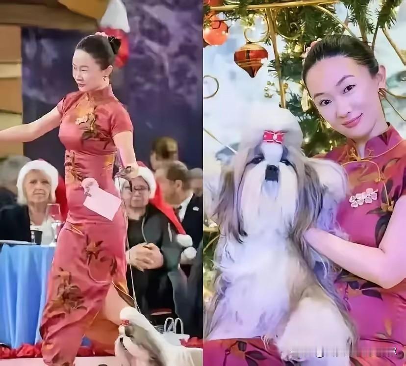 我有个做宠物美容的朋友说，他们圈子最近都在聊霍思燕带着自家西施犬在比利时拿了个国