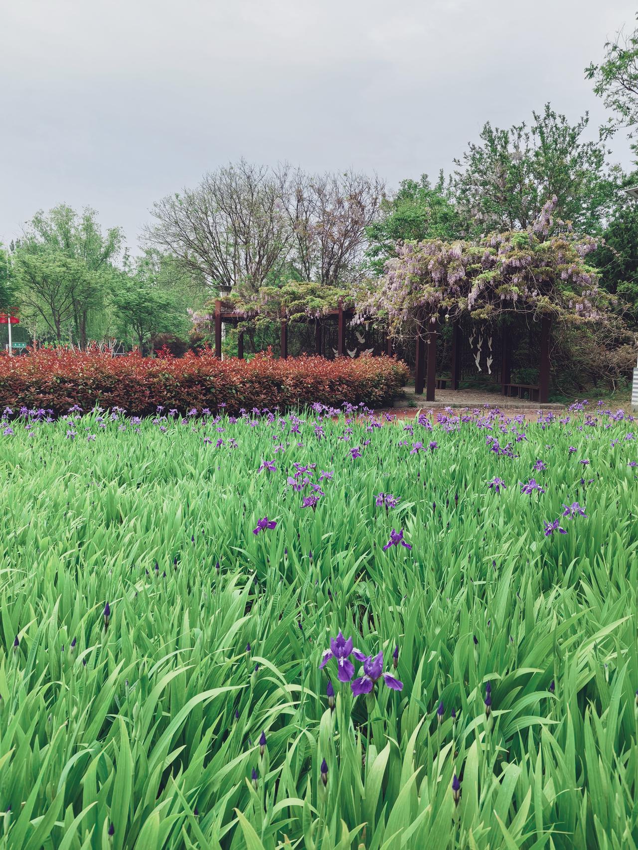 看一看家乡的春天！