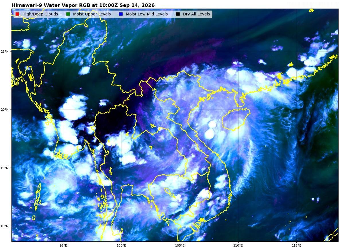 【海南暴雨有多猛？一小时下了161.6毫米】海南这场暴雨，局地出现了近乎倾倒