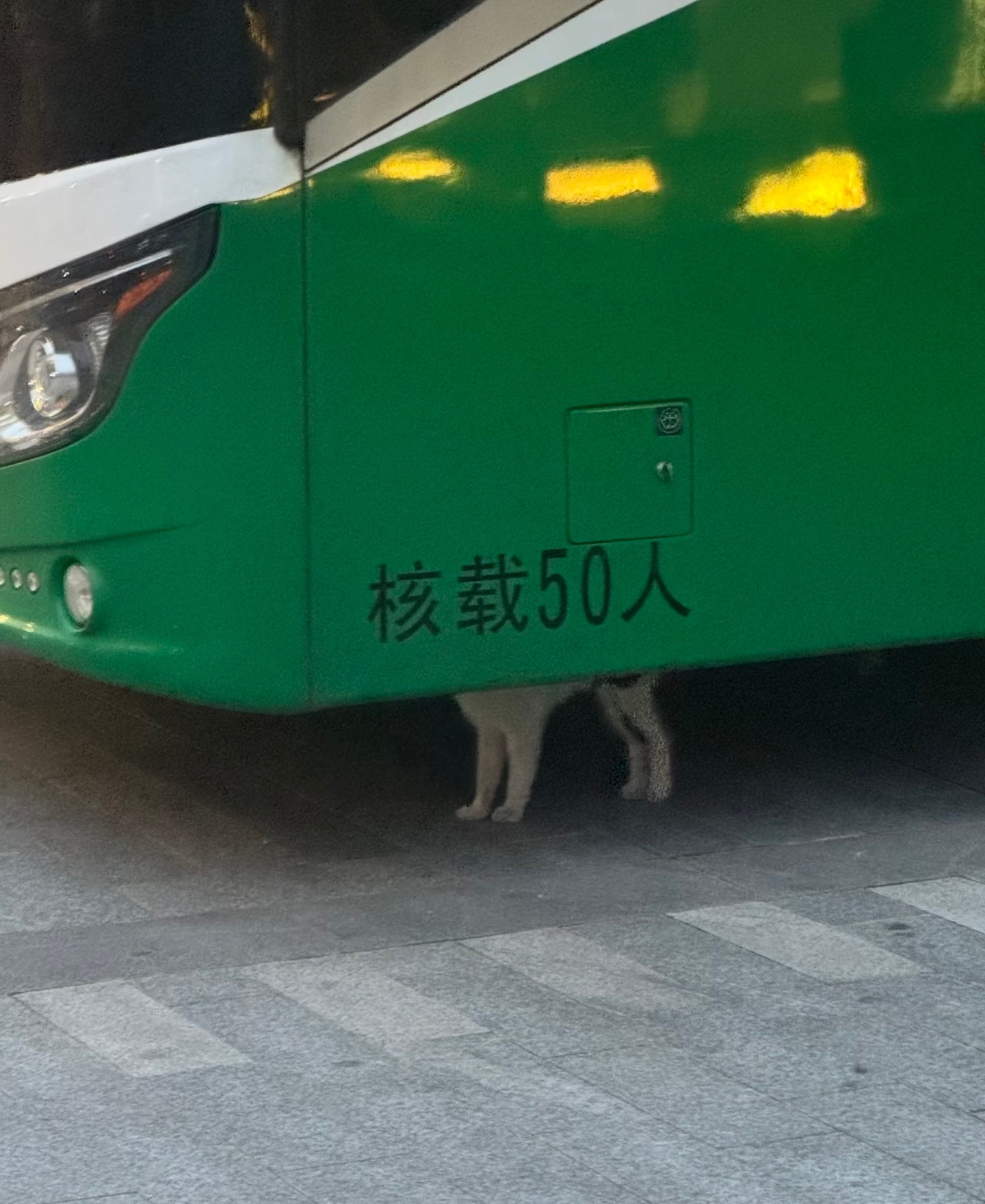 咪一个人承载了50个人