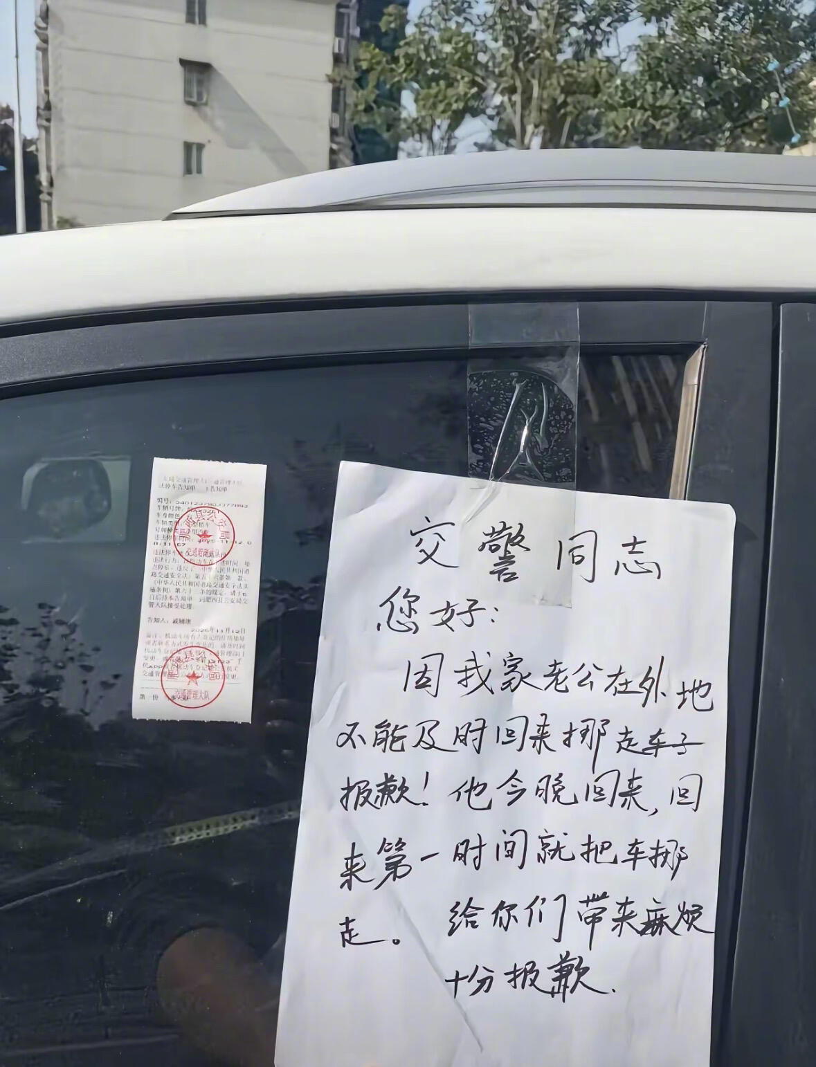 哈哈哈哈交警同志会放过他吗？