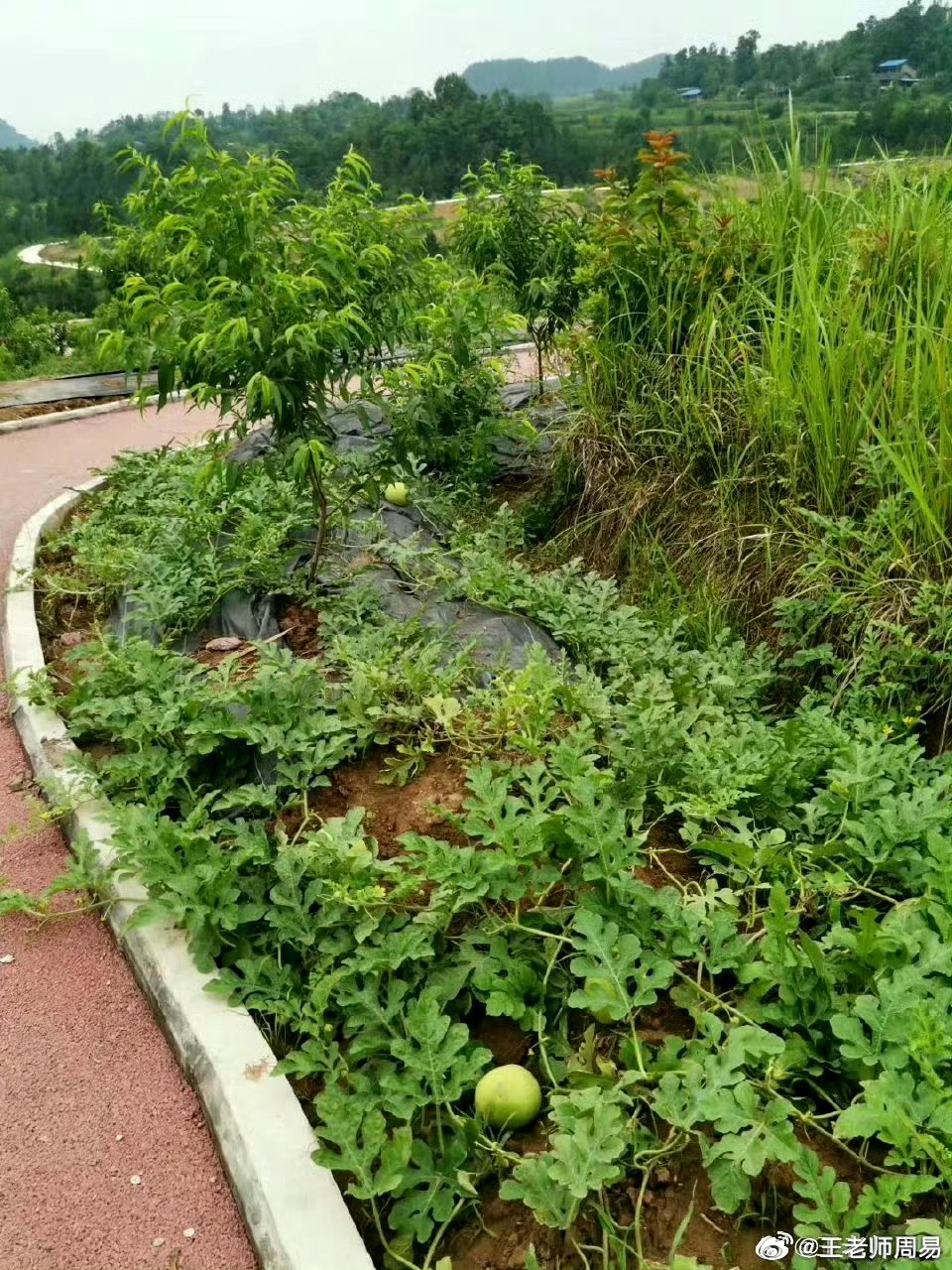 一个人越来越好，都懂得“盗取”天地能量！普通人很少知晓道家古籍《阴符经》中有一句