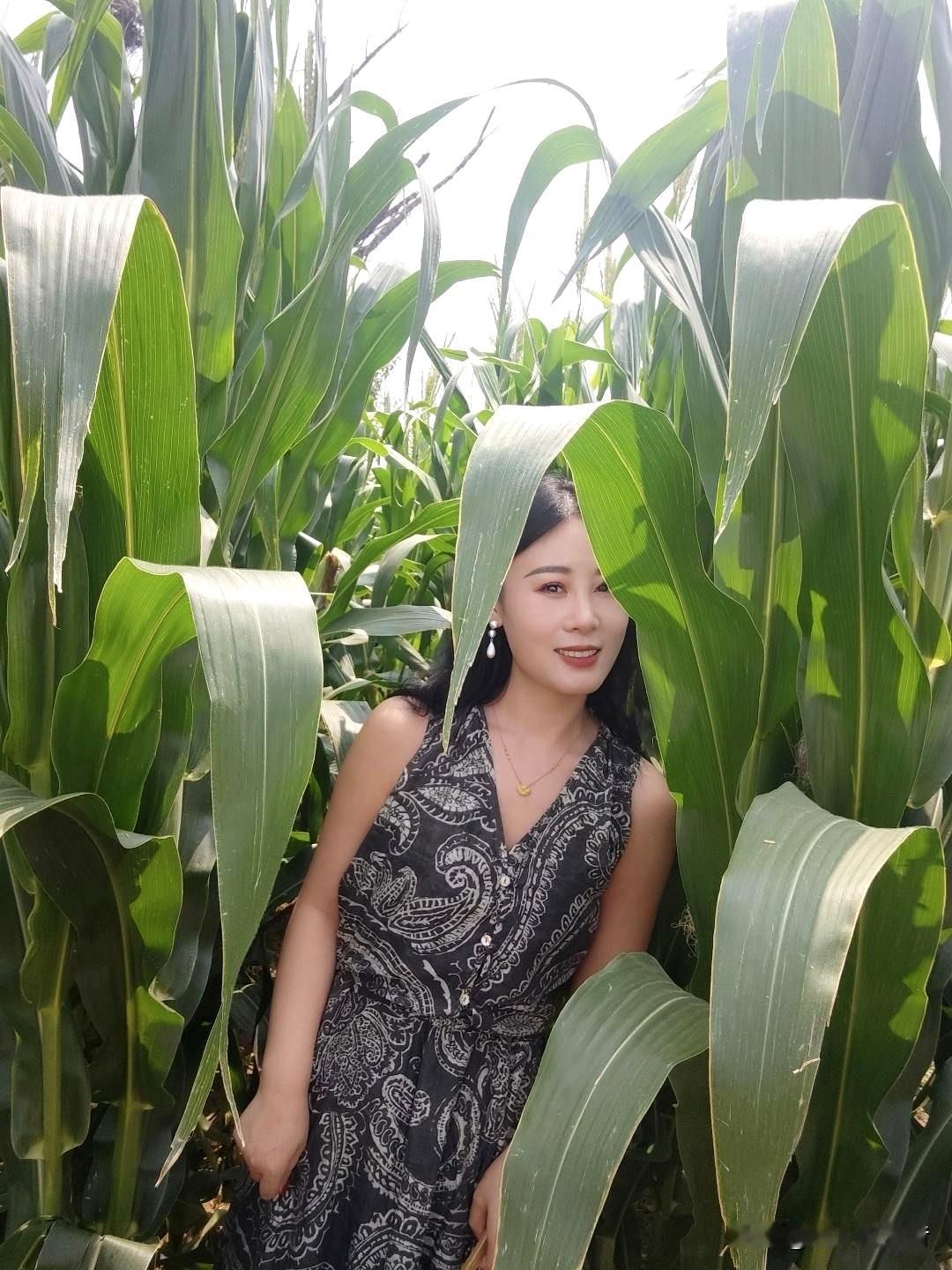 大姐说，昨天回乡下娘家看望父母，顺便到地里看一下父母种的玉米，并拍了张照片做留念
