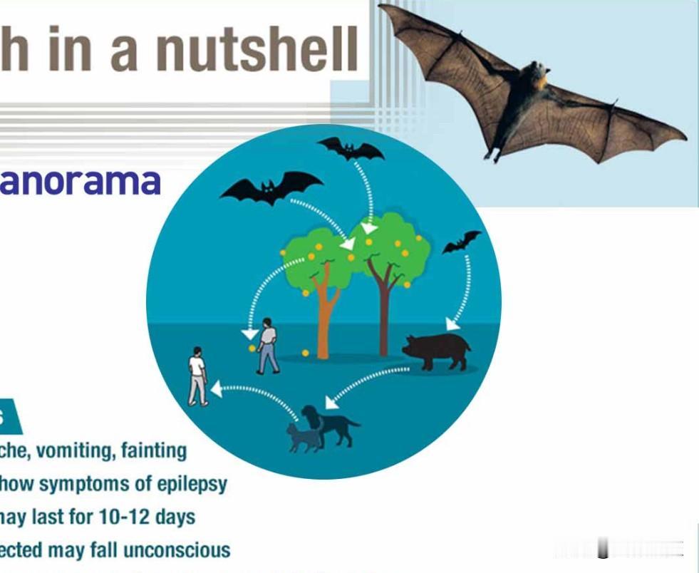 2026-1-2616:19上海​突发特讯！中国向全世界严肃通告：中国已将“尼